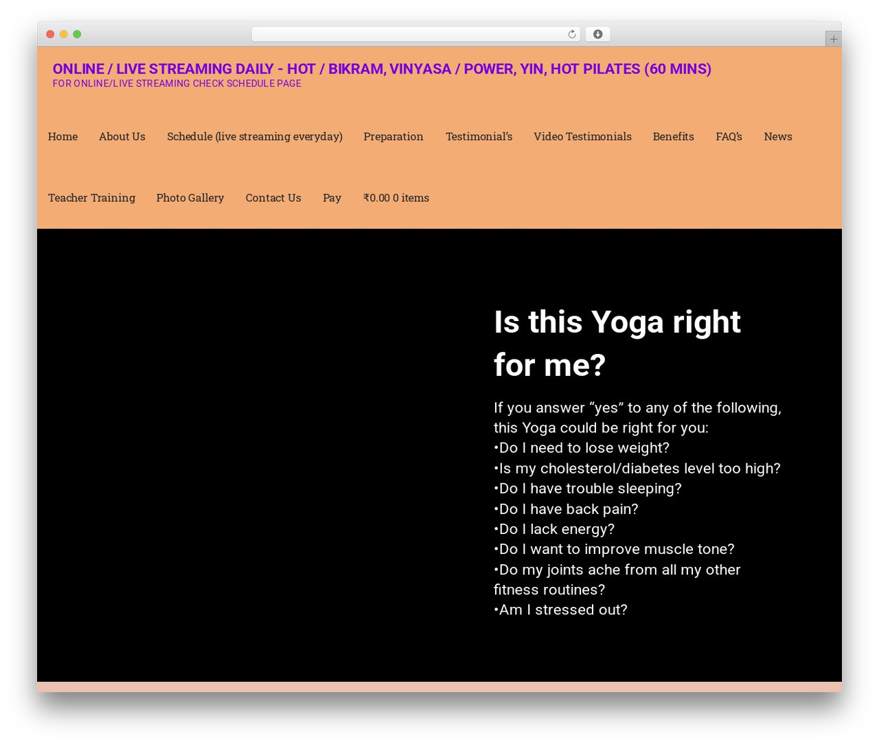 Mins top WordPress theme - namaha.com