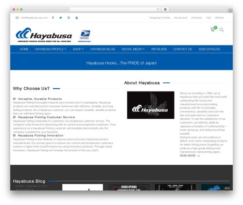 Piko Construct best WordPress theme - hayabusafishing.com