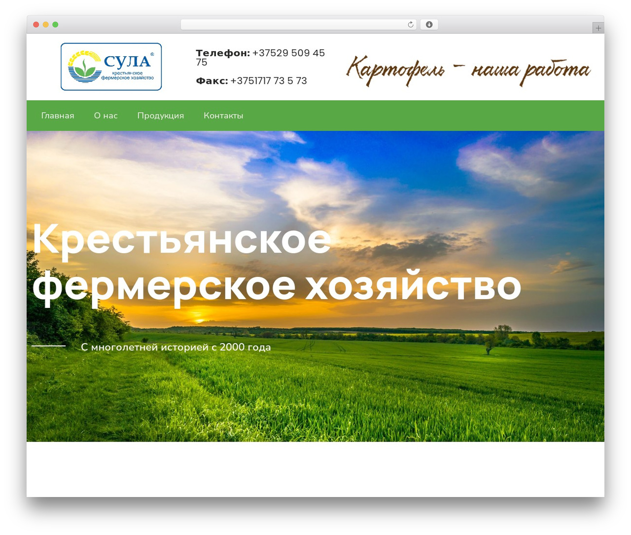 WordPress theme Hello Elementor - sula.by