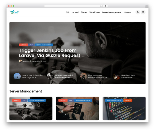 Best WordPress theme Disto - dwij.net