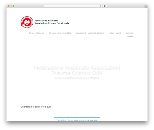 Divi theme WordPress - associazionitraumi.it