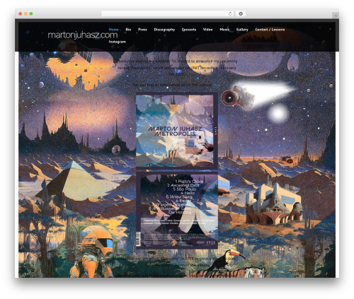 Themeum poll WordPress plugin - martonjuhasz.com