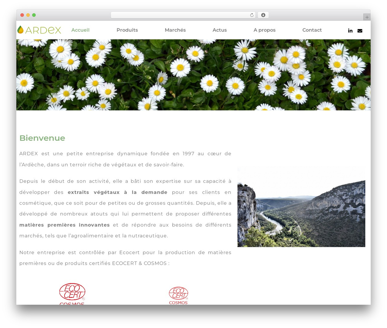 Page Builder Framework WordPress theme - ardextrait.com Page Builder Framework WordPress theme - ardextrait.com