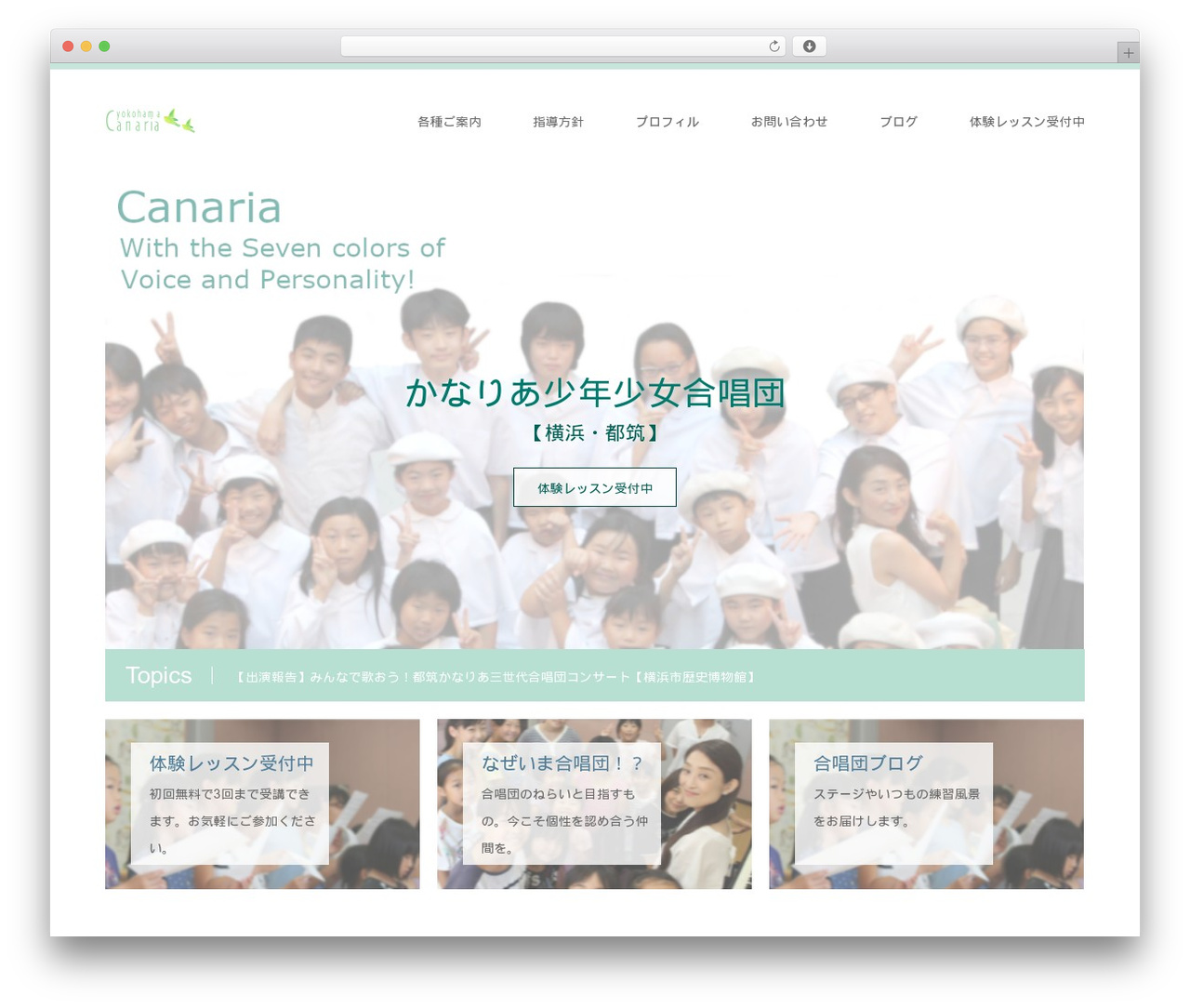 SKIN theme WordPress - canariachor.com