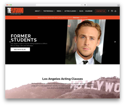 Amax theme WordPress - theplayground.com