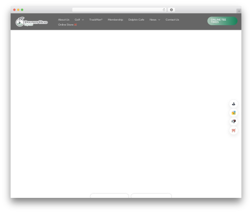 Astra WordPress theme - dolphinheadgc.com