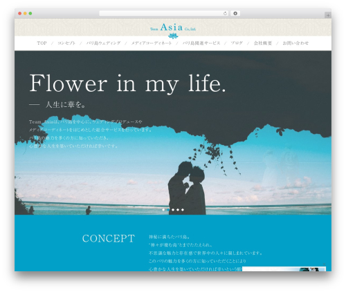 Original Theme theme WordPress - team-asia.co.jp