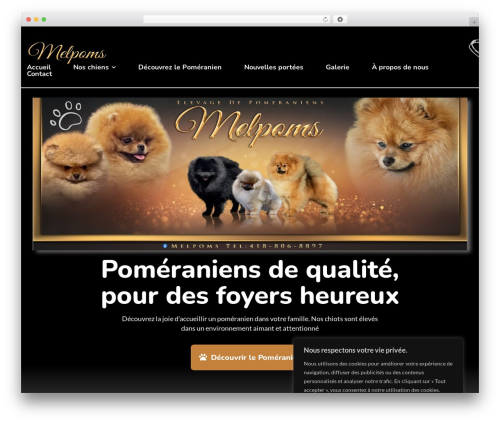 Petopia WordPress theme - melpoms.com