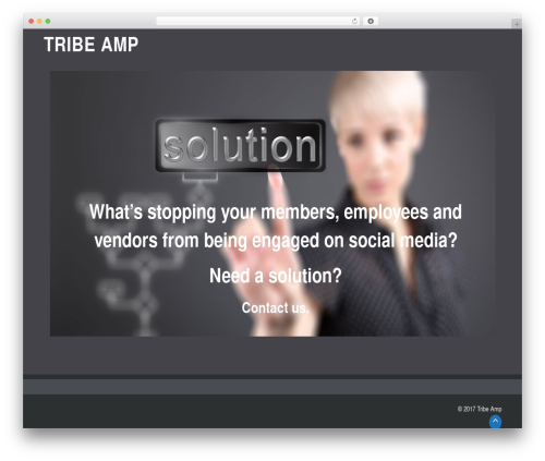 Theme WordPress Engage - tribeamp.com