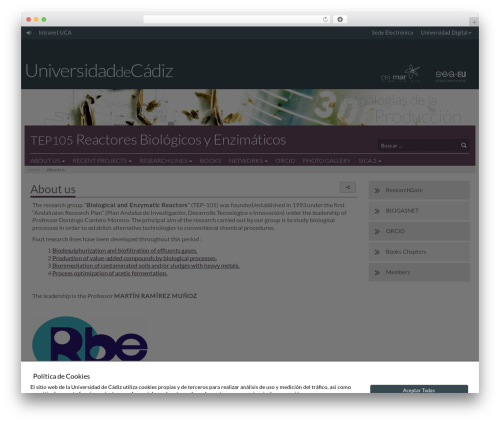 Theme UCA WordPress theme - tep105.uca.es
