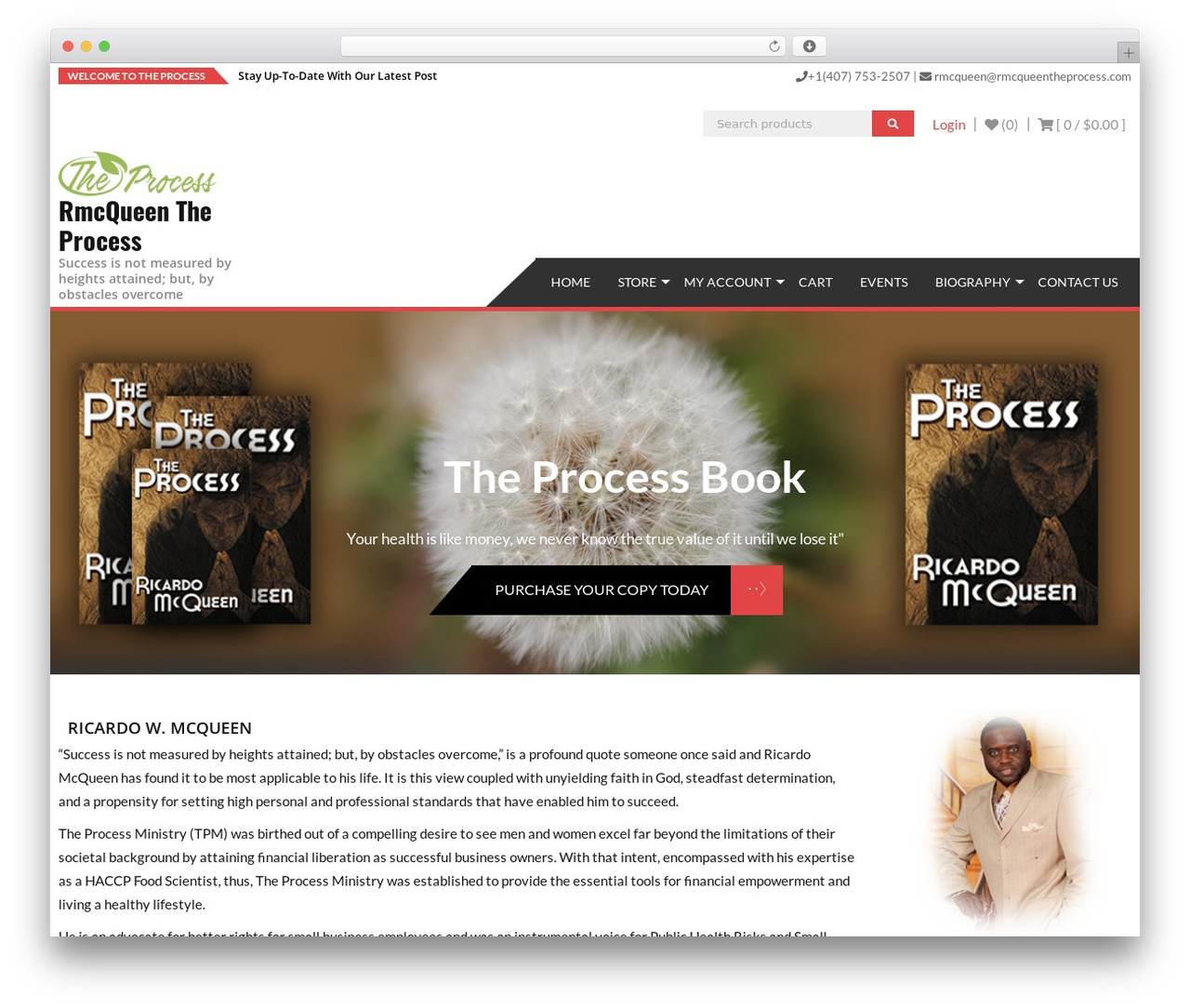 Theme WordPress AccessPress Store - rmcqueentheprocess.com