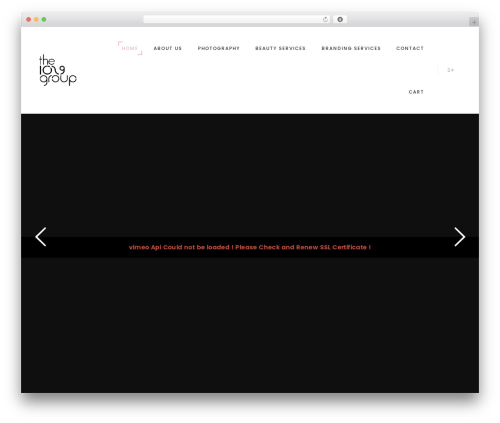 Entrepreneur shortcodes WordPress plugin - the1029group.com