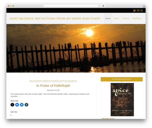 WordPress theme Di Responsive - jaymarshallonline.com