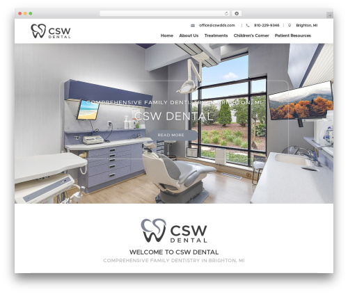 WordPress theme Divi - cswdds.com
