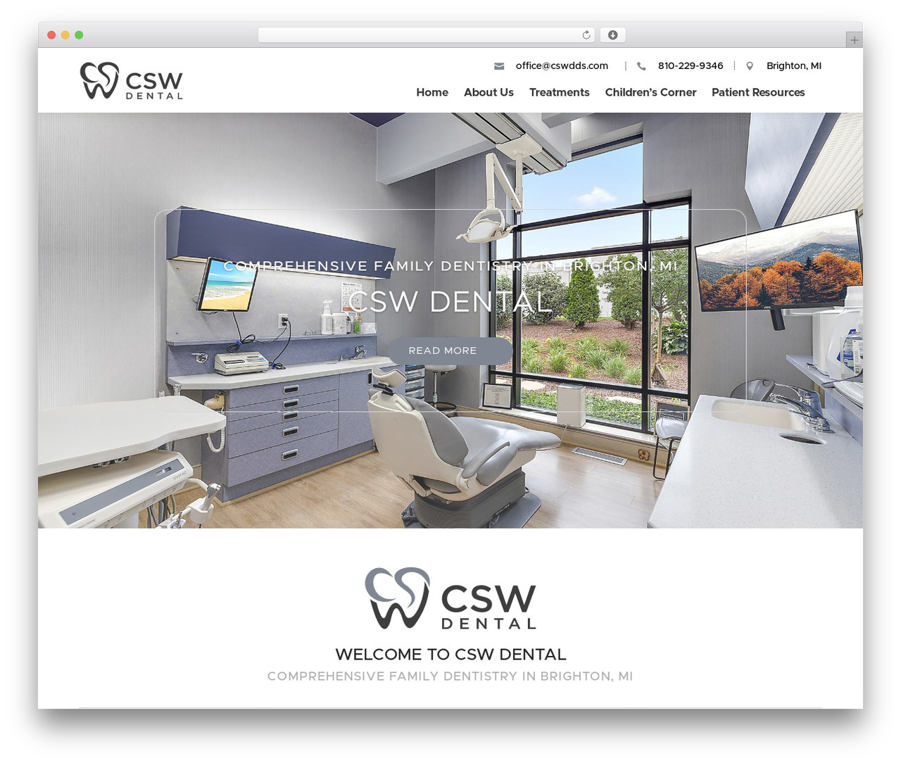 WordPress theme Divi - cswdds.com