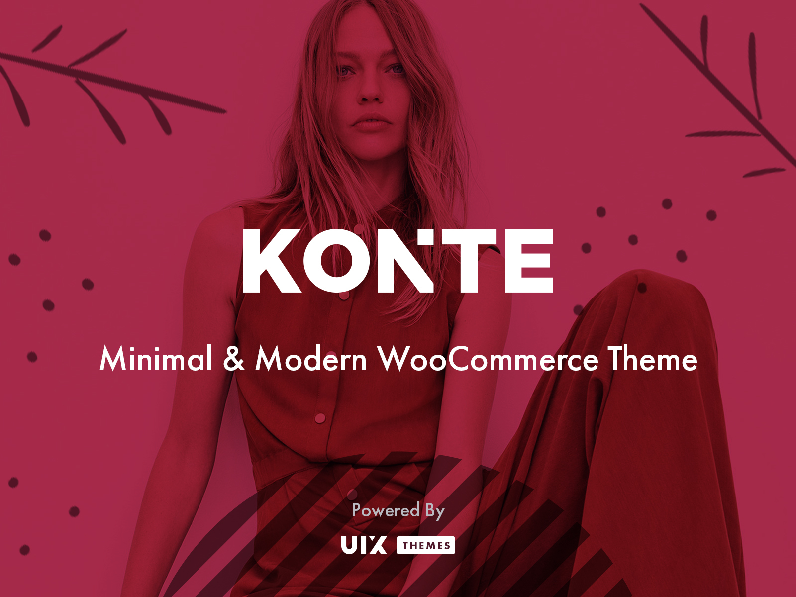 Best WordPress template Konte