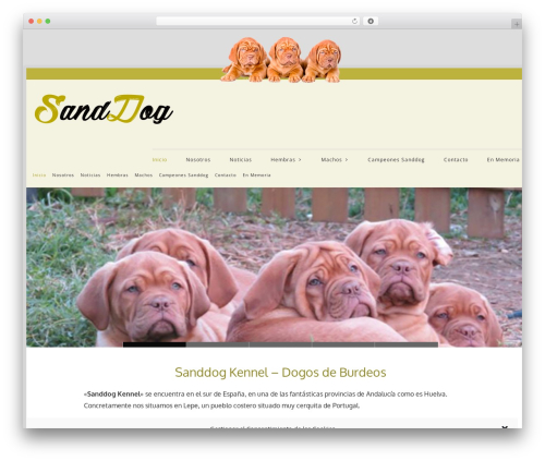 SpiderVPlayer (player) free WordPress plugin - sanddogkennel.com