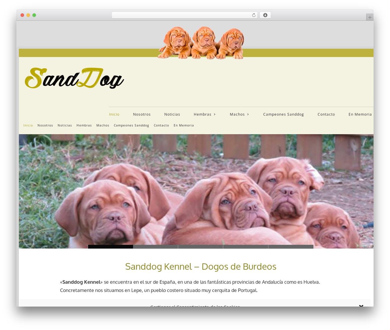PetShopper WordPress theme - sanddogkennel.com PetShopper WordPress theme - sanddogkennel.com