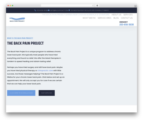 Theme WordPress Brain - backpainct.com