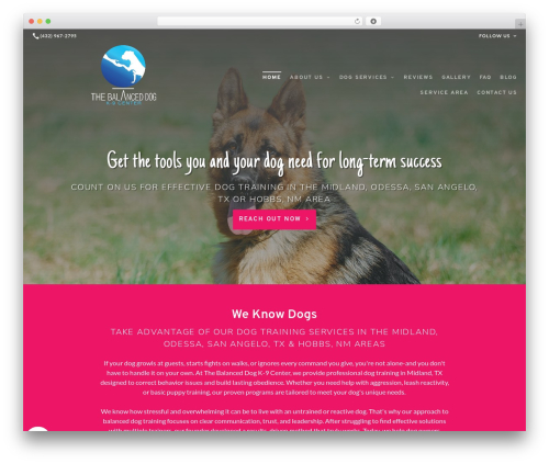 WordPress theme Beacon Theme - thebalanceddogtx.com