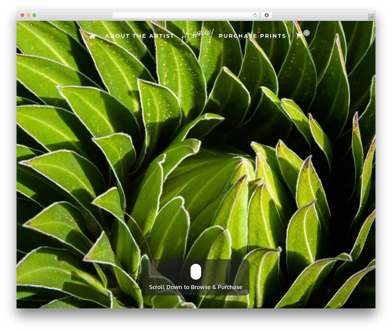 WordPress theme HyperX Child - asharkey.com WordPress theme HyperX Child - asharkey.com