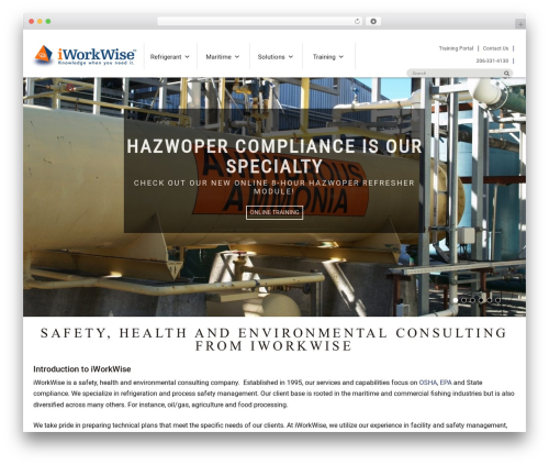 FC WordPress theme - iworkwise.com
