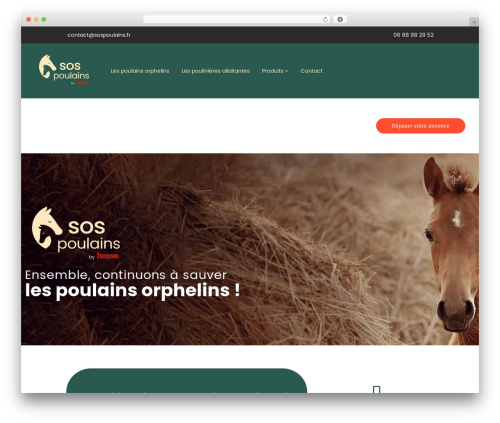 Regions for WP Job Manager (wp-job-manager-locations) free WordPress plugin - sospoulains.fr