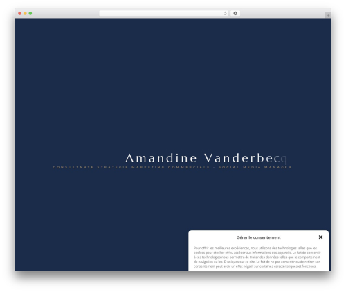 Halstein core WordPress plugin - www.amandinevanderbecq.be