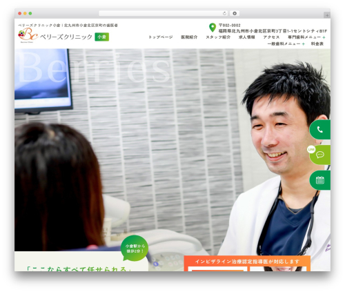 base_theme WordPress theme - www.berries-dental.com