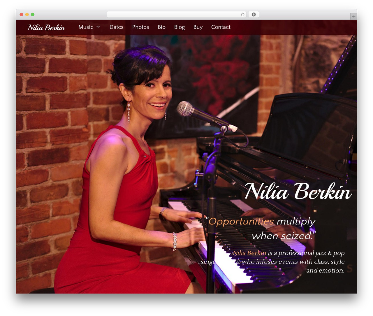 WordPress theme GeneratePress - niliaberkin.com