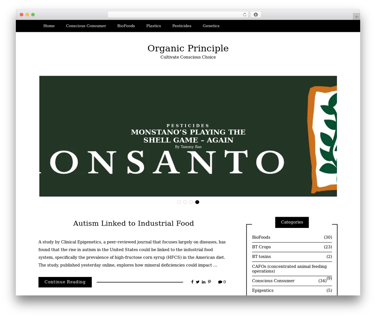 Writee best free WordPress theme - organicprincipal.com