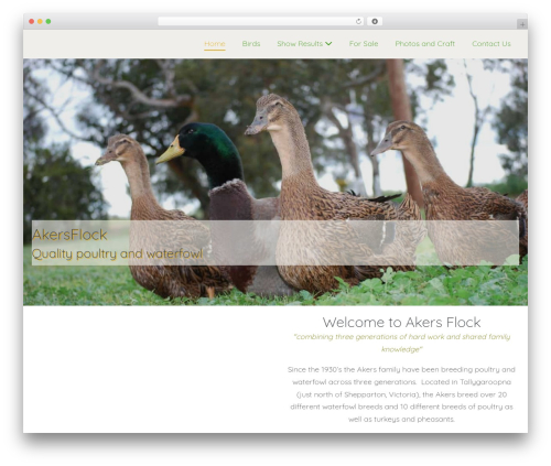 Page Builder Framework best WordPress theme - akersflock.com