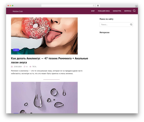 Quizle WordPress plugin - medow.club