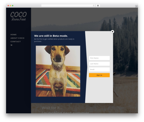 WordPress theme Divi - cocorunsfast.com