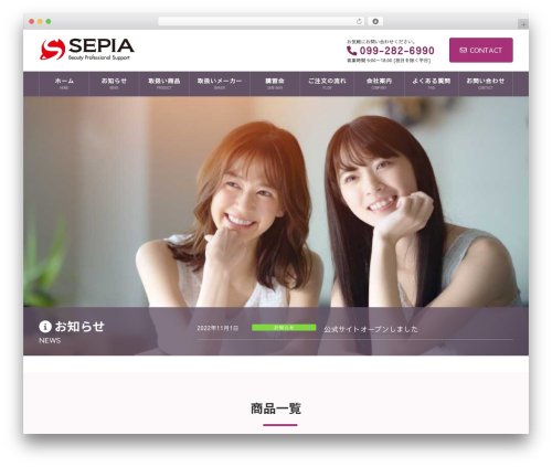 Vk filter search pro WordPress plugin - salon-beauty.jp