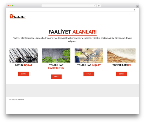 Showcase WordPress plugin - tonbullar.com.tr