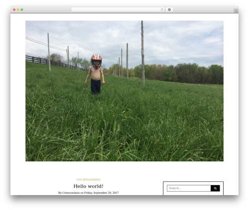 WordPress theme Writee - dragonflybeer.com