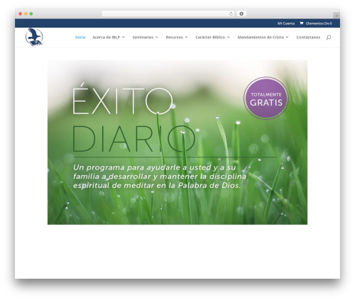 Say what pro WordPress plugin - iblp.org.mx