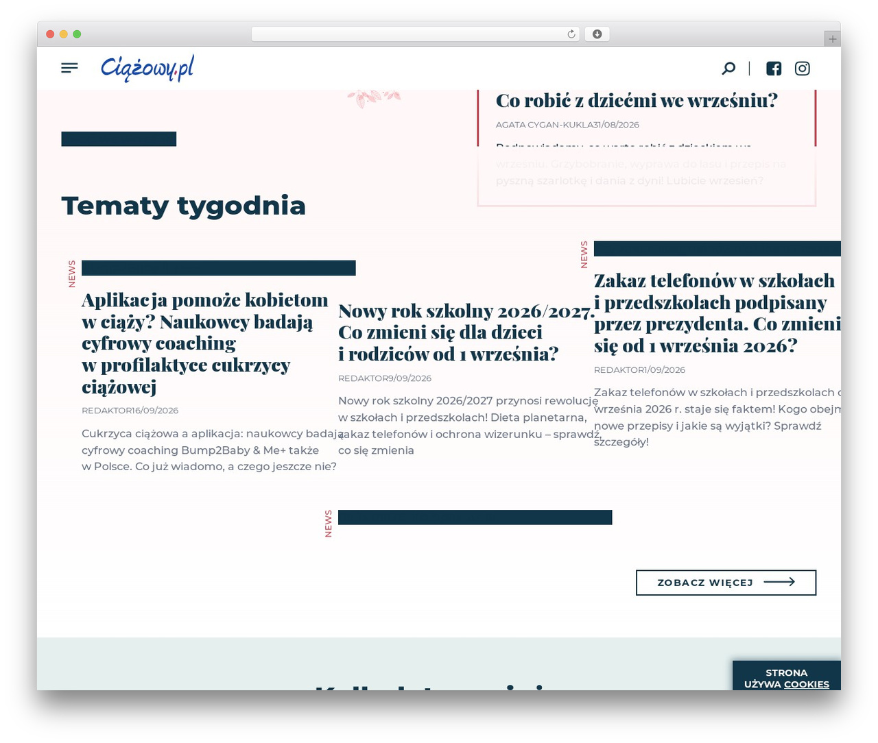 Empty Template WordPress theme - ciazowy.pl