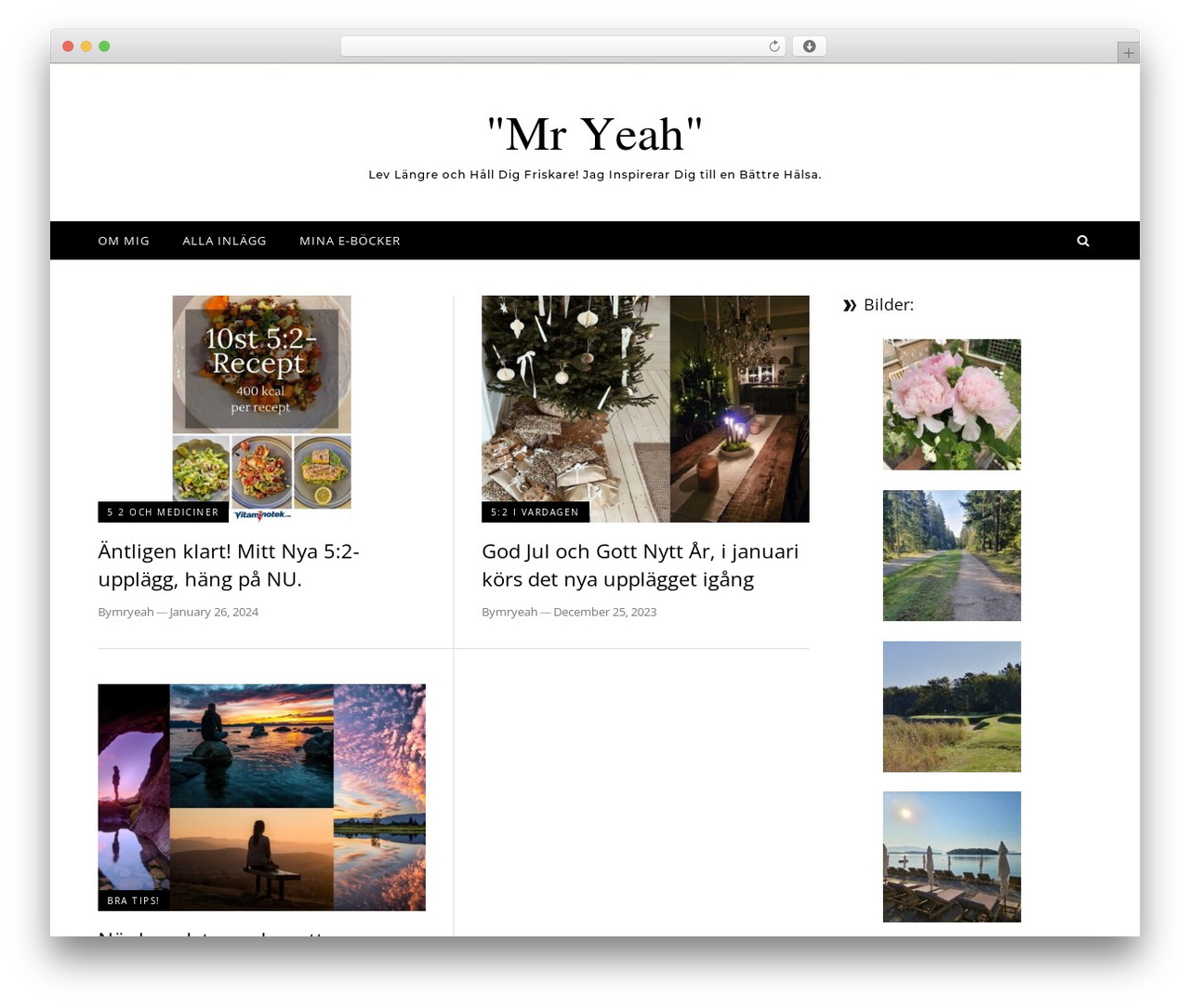 Graceful free WordPress theme - mryeah.com Graceful free WordPress theme - mryeah.com