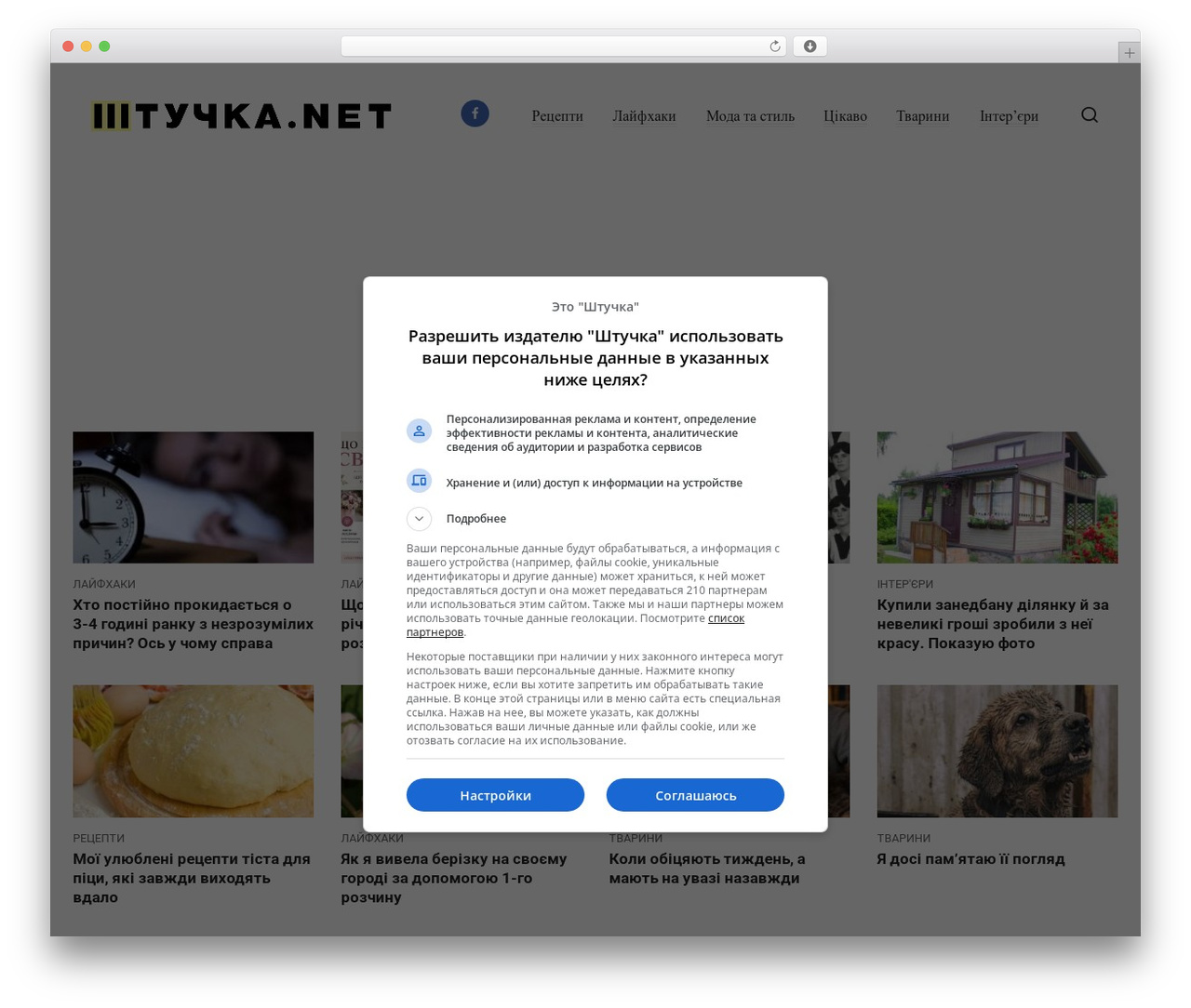 JournalX WordPress theme design - shtuchka.net