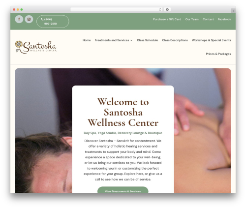 Theme WordPress Divi - santoshabigsky.com