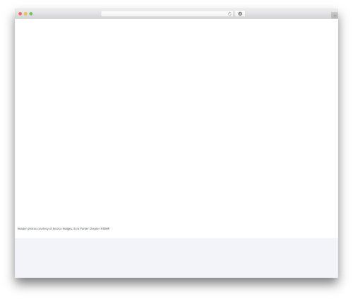 Candidate WordPress website theme - michdar.org