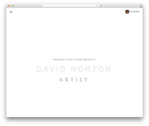 Snapster top WordPress theme - davidnorton.ie