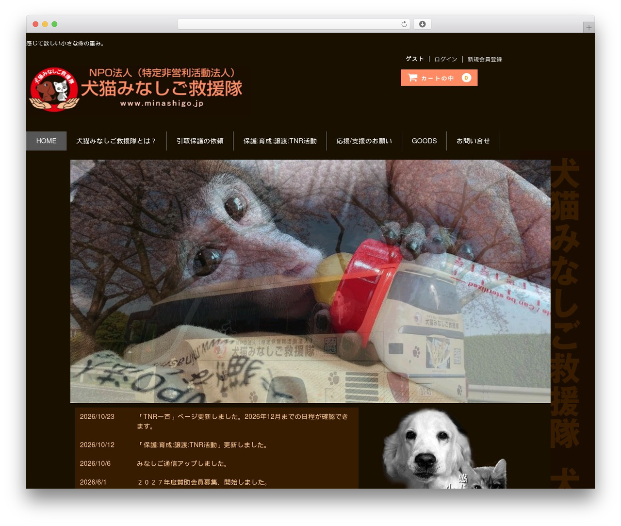 Minashigo WordPress page theme - minashigo.jp Minashigo WordPress page theme - minashigo.jp