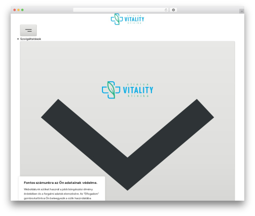 Bricks best WordPress theme - clinicavitality.ro
