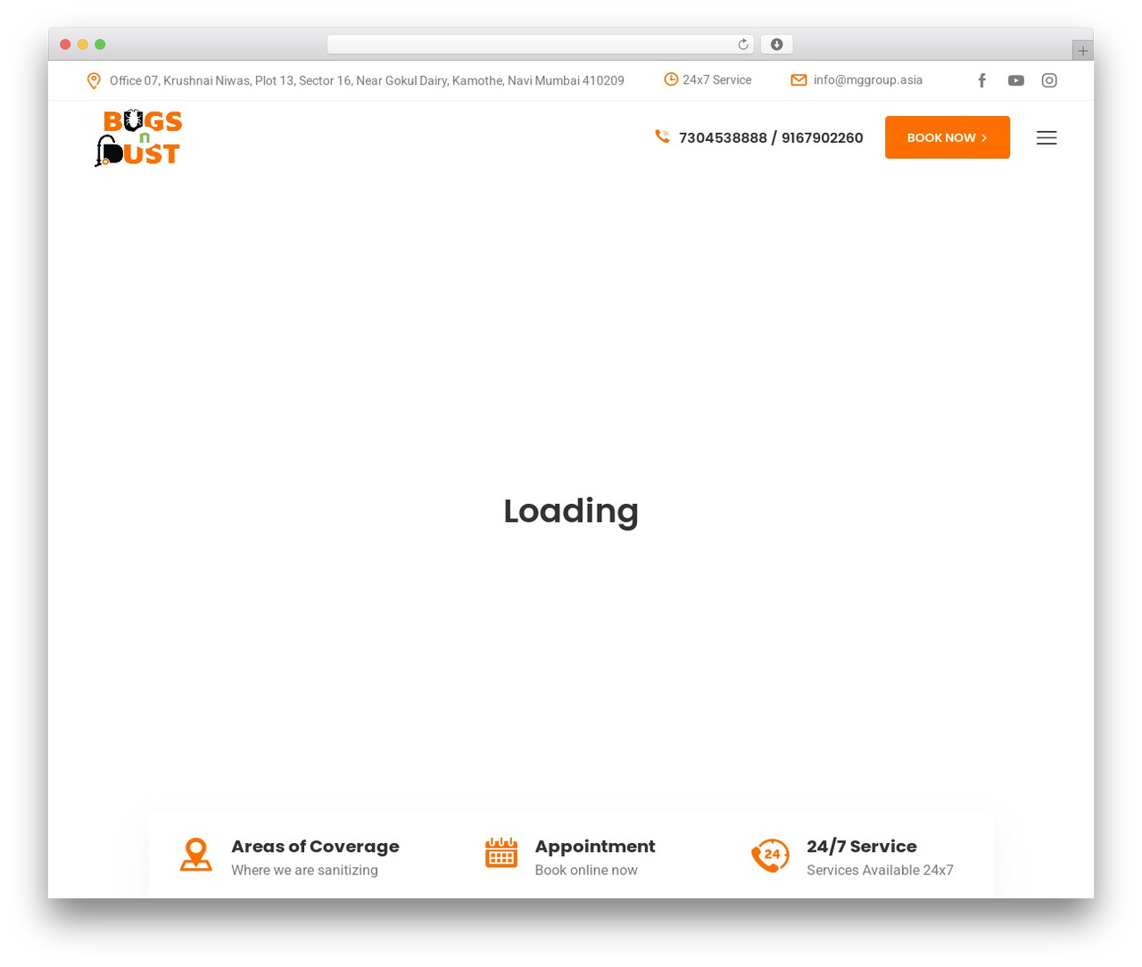 Sanitizex theme WordPress - www.bugsndust.com