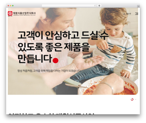 Custom Theme WordPress theme - taewonfd.com