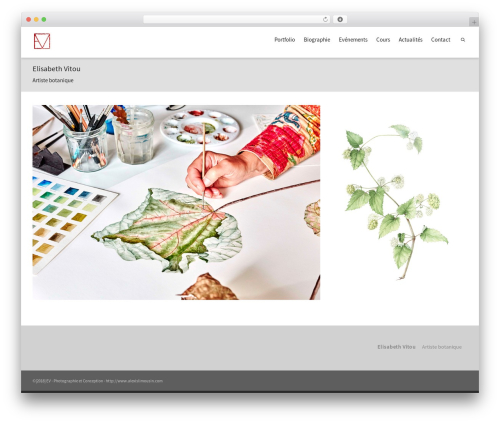 WordPress Form Customizer | CF7 Customizer (cf7-customizer) free WordPress plugin - elisabeth-vitou.fr