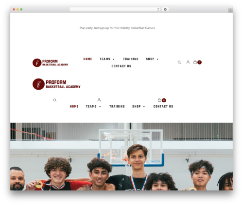 Hide category by user role for woocommerce WordPress plugin - proformbasketball.com
